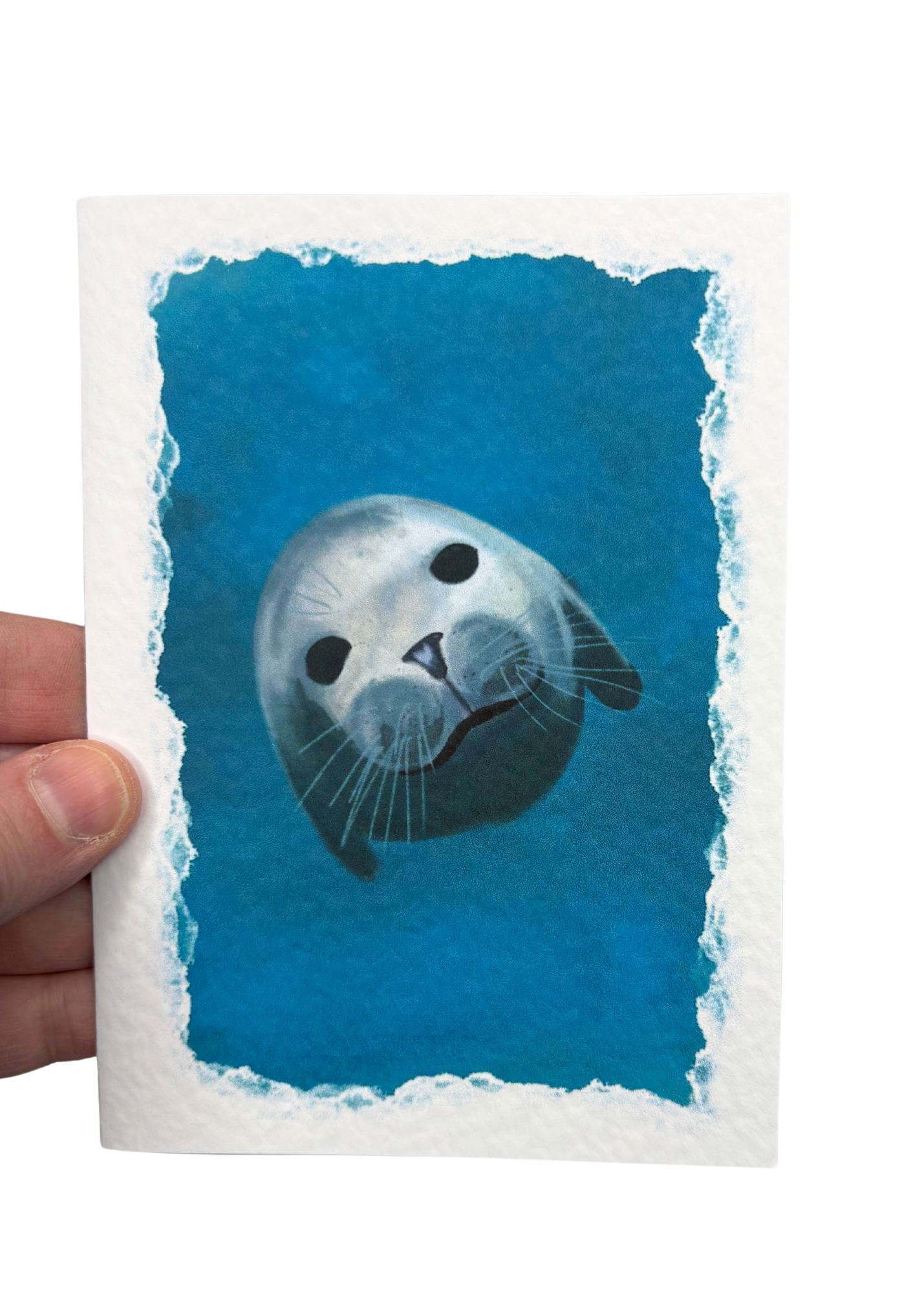 Greetings Card | Shetland Wildlife - Set of 5 Notecards