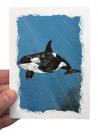 Greetings Card | Shetland Wildlife - Set of 5 Notecards