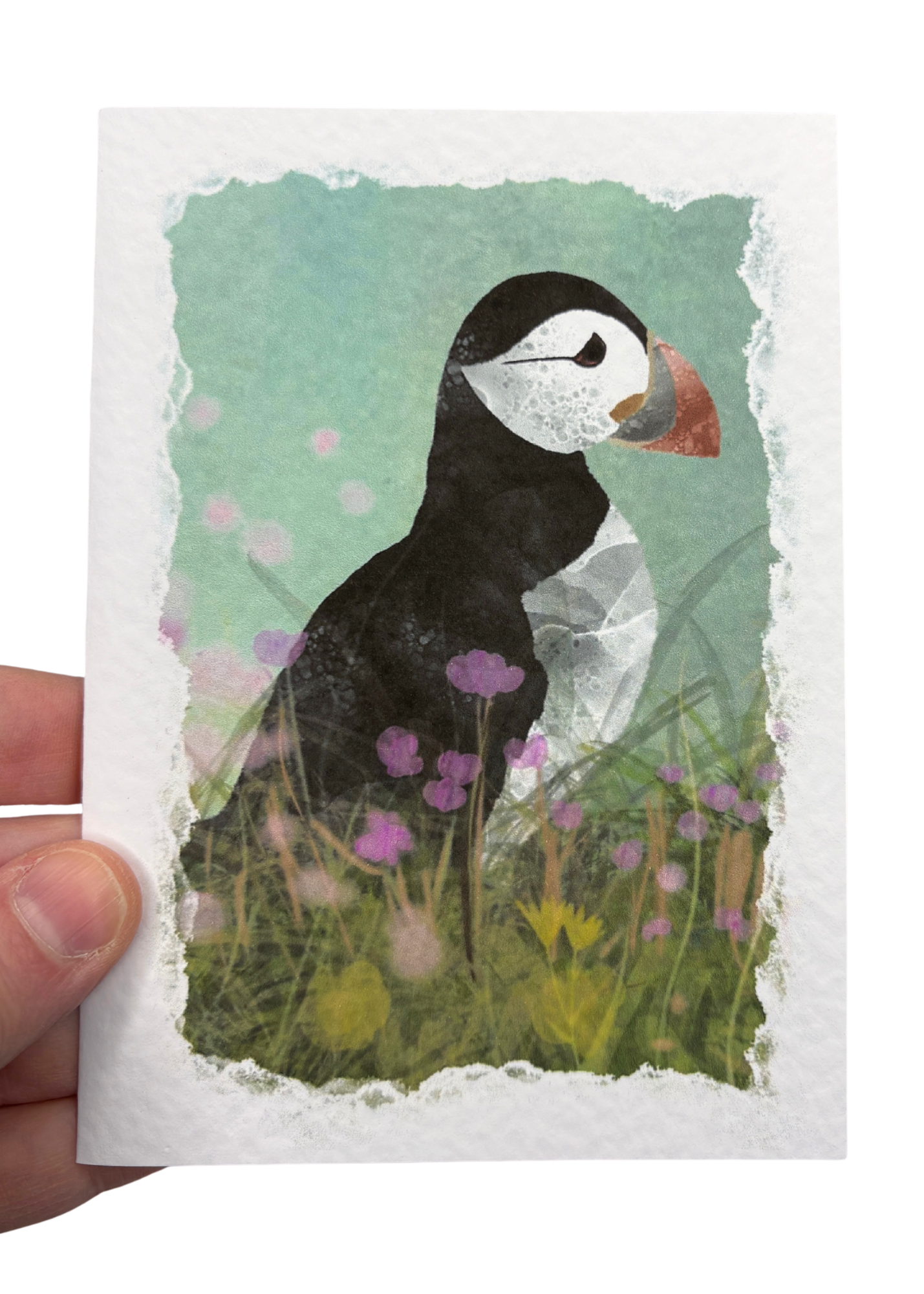 Wholesale | Greetings Card | Shetland Wildlife - Set of 5 Notecards (BOX OF 10)