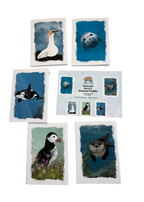 Greetings Card | Shetland Wildlife - Set of 5 Notecards
