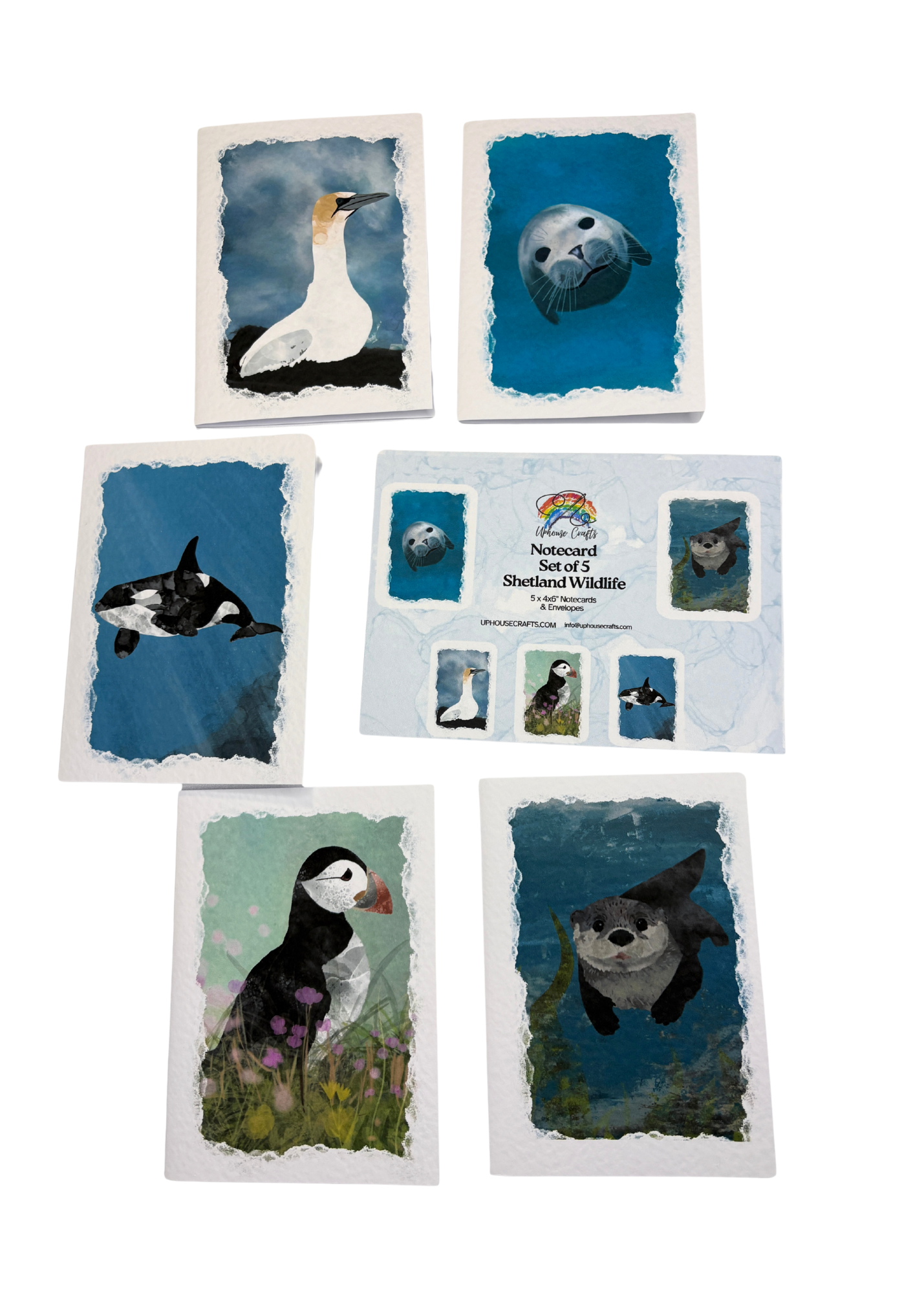 Wholesale | Greetings Card | Shetland Wildlife - Set of 5 Notecards (BOX OF 10)