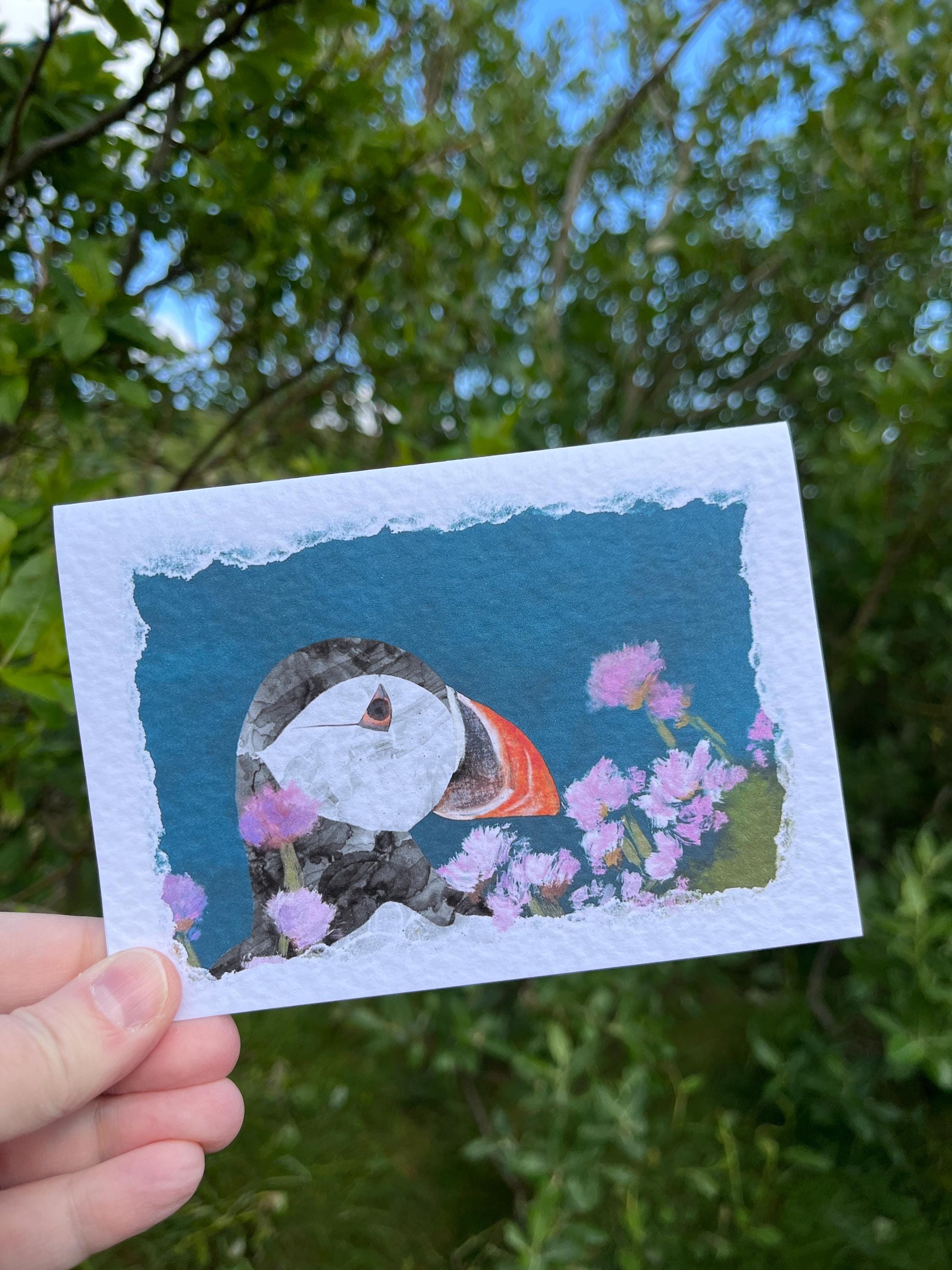 Greetings Card | Puffin - Set of 5 Notecards - Uphouse Crafts