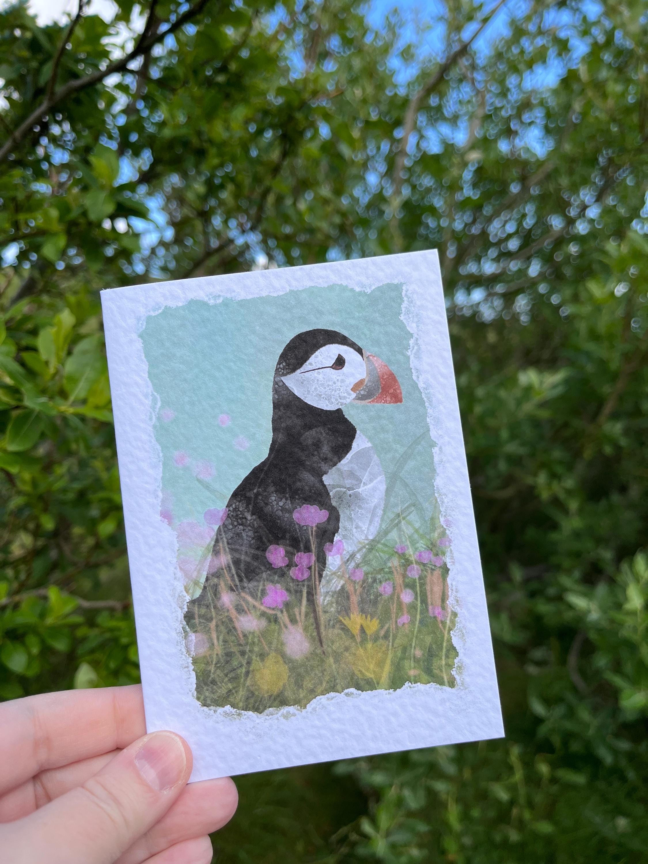 Greetings Card | Puffin - Set of 5 Notecards - Uphouse Crafts