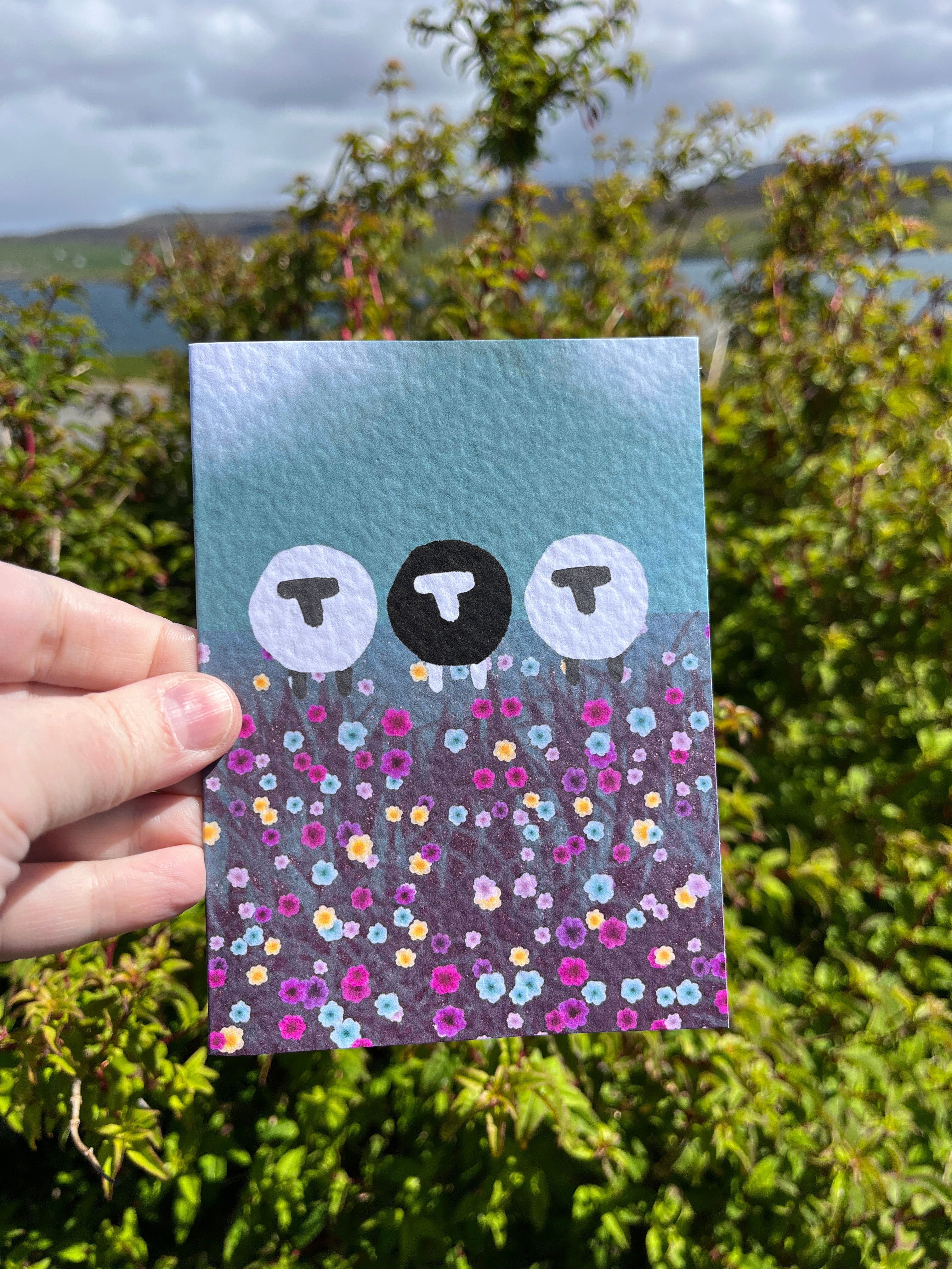 Greetings Card | Shetland - Set of 6 Sheep Notecards | Blue & Teal - Uphouse Crafts