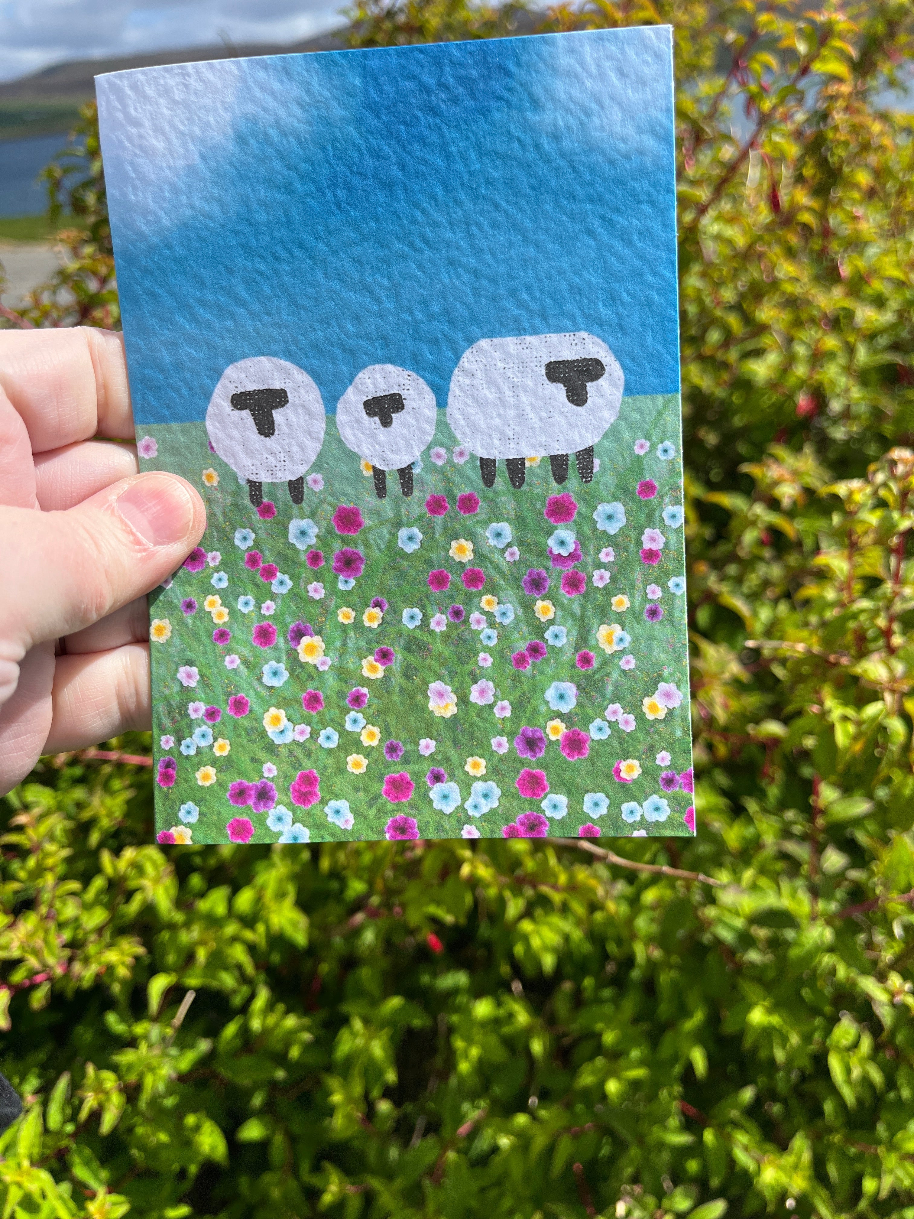 Greetings Card | Shetland - Set of 6 Sheep Notecards | Blue & Teal - Uphouse Crafts