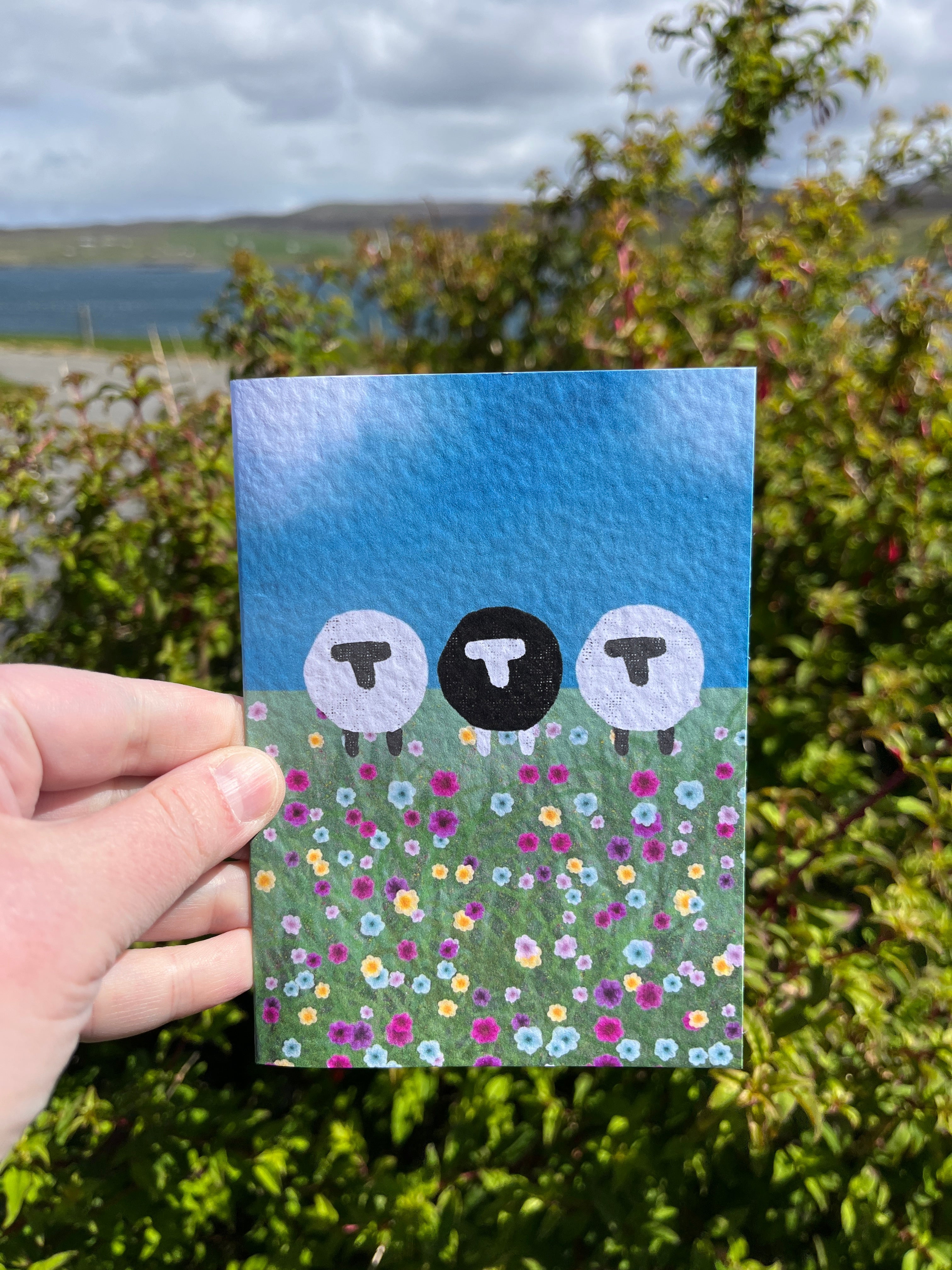 Greetings Card | Shetland - Set of 6 Sheep Notecards | Blue & Teal - Uphouse Crafts
