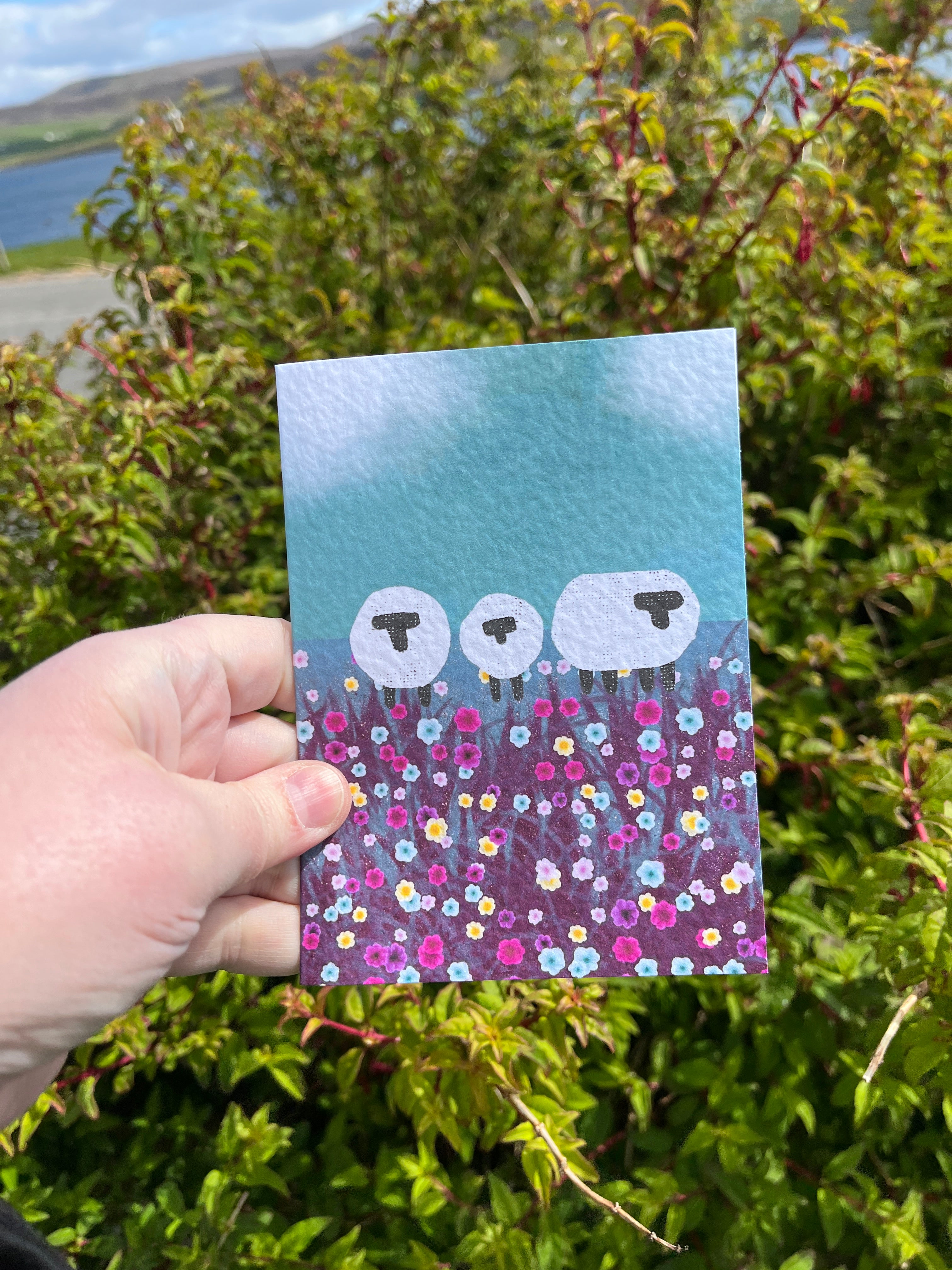 Greetings Card | Shetland - Set of 6 Sheep Notecards | Blue & Teal - Uphouse Crafts