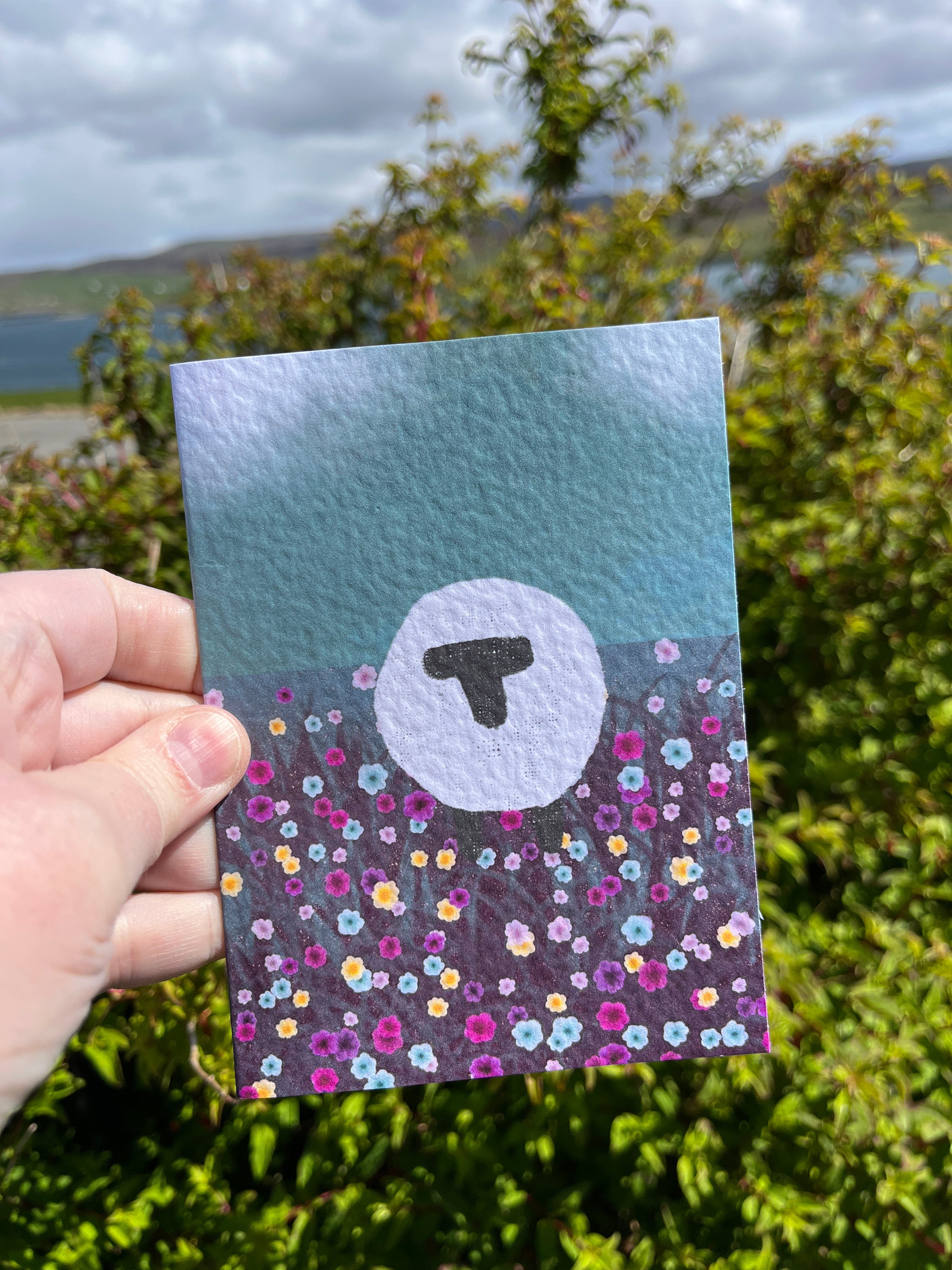 Greetings Card | Shetland - Set of 6 Sheep Notecards | Blue & Teal - Uphouse Crafts