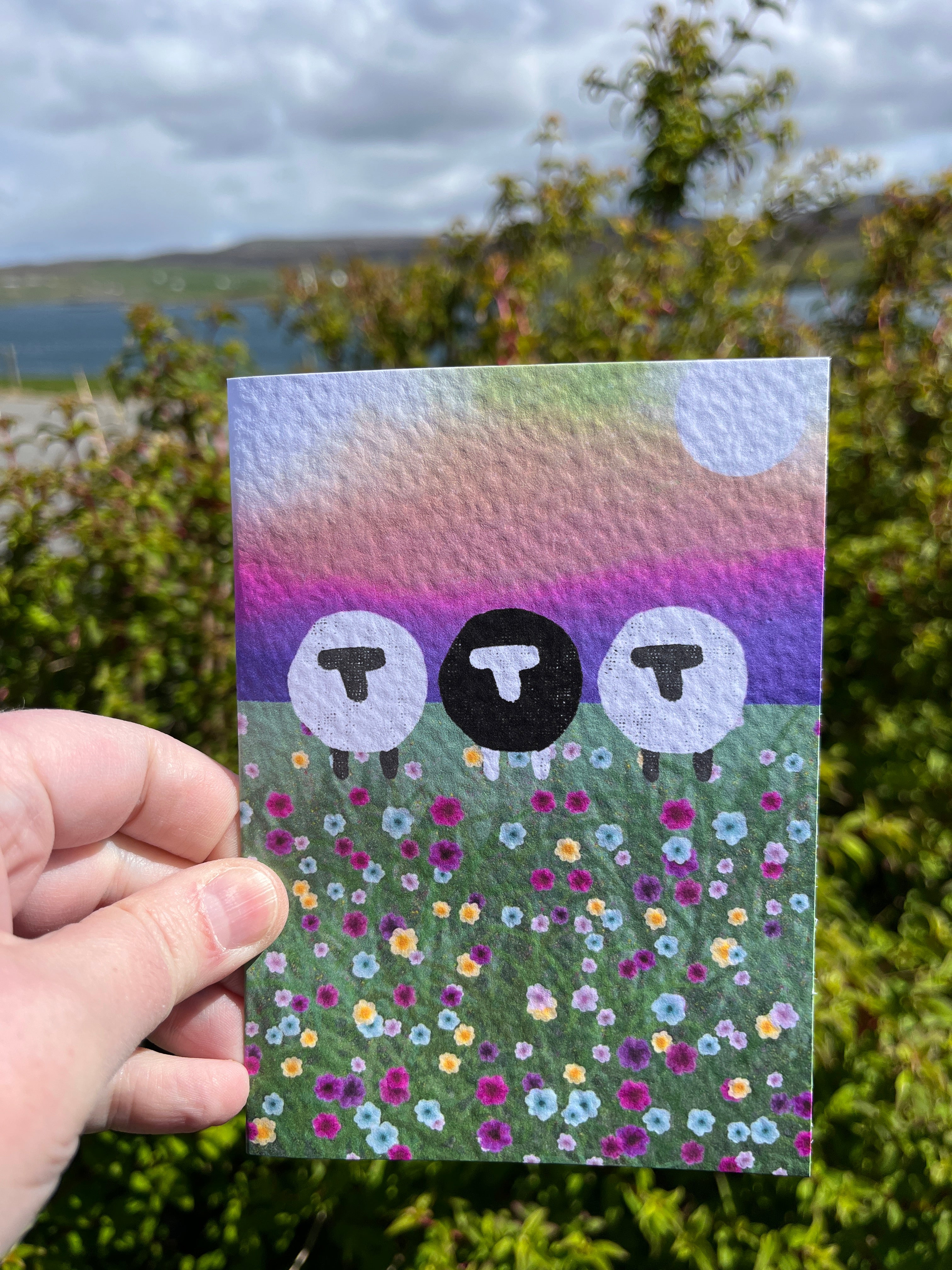 Greetings Card | Shetland - Set of 6 Sheep Notecards | Pink & Sunset - Uphouse Crafts