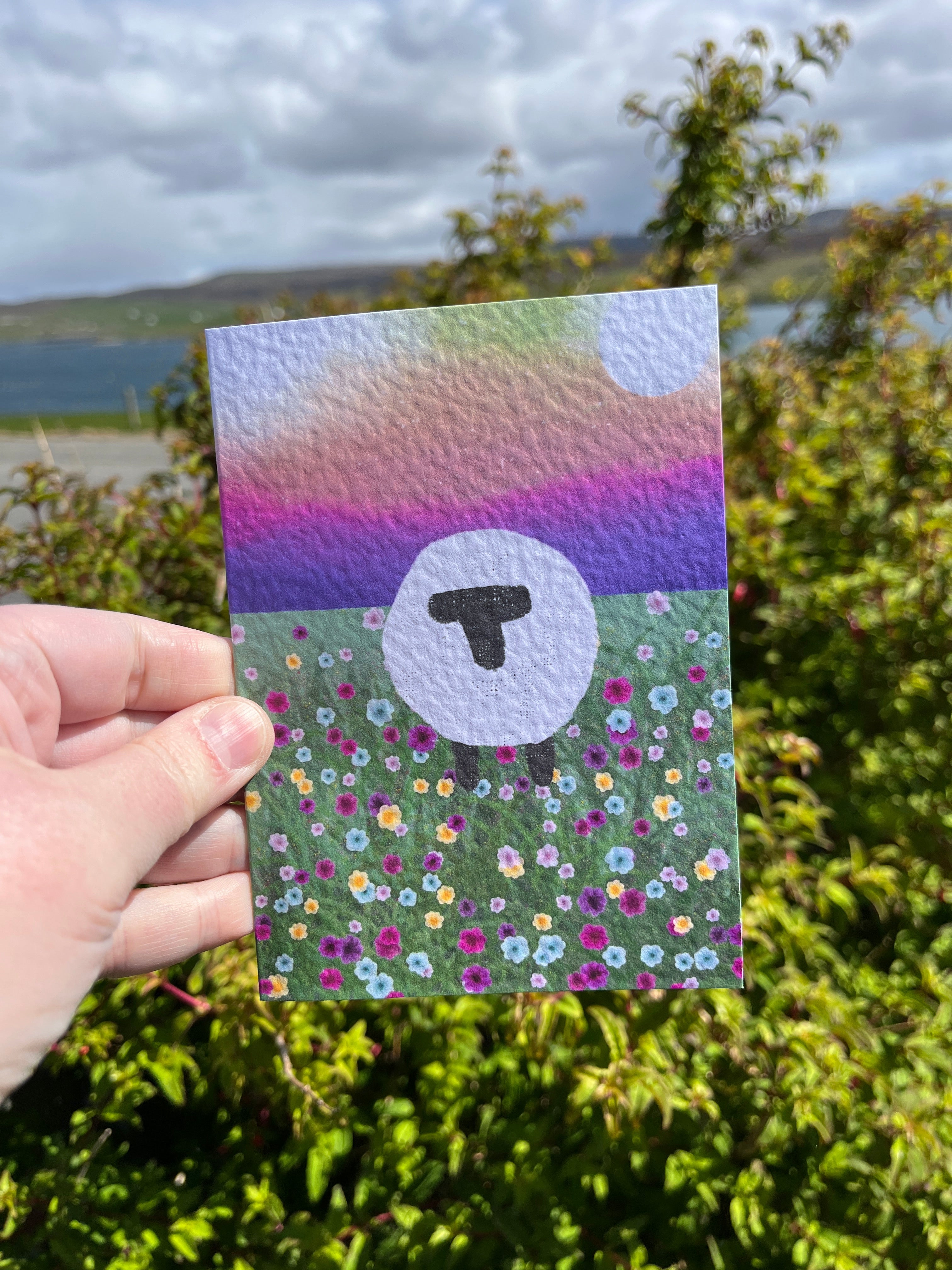 Greetings Card | Shetland - Set of 6 Sheep Notecards | Pink & Sunset - Uphouse Crafts