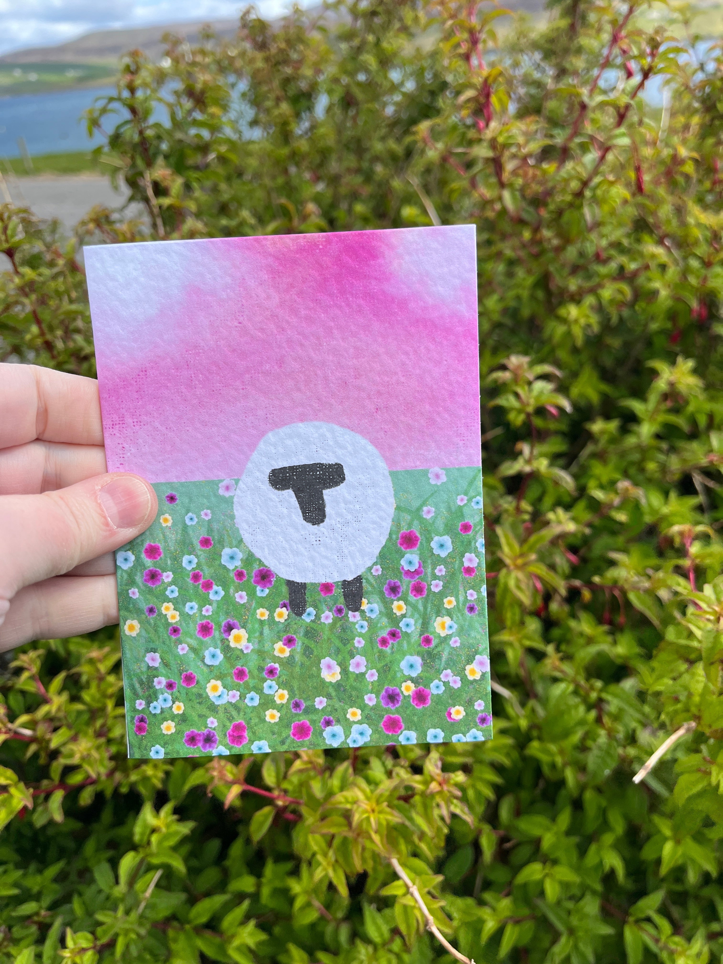 Greetings Card | Shetland - Set of 6 Sheep Notecards | Pink & Sunset - Uphouse Crafts