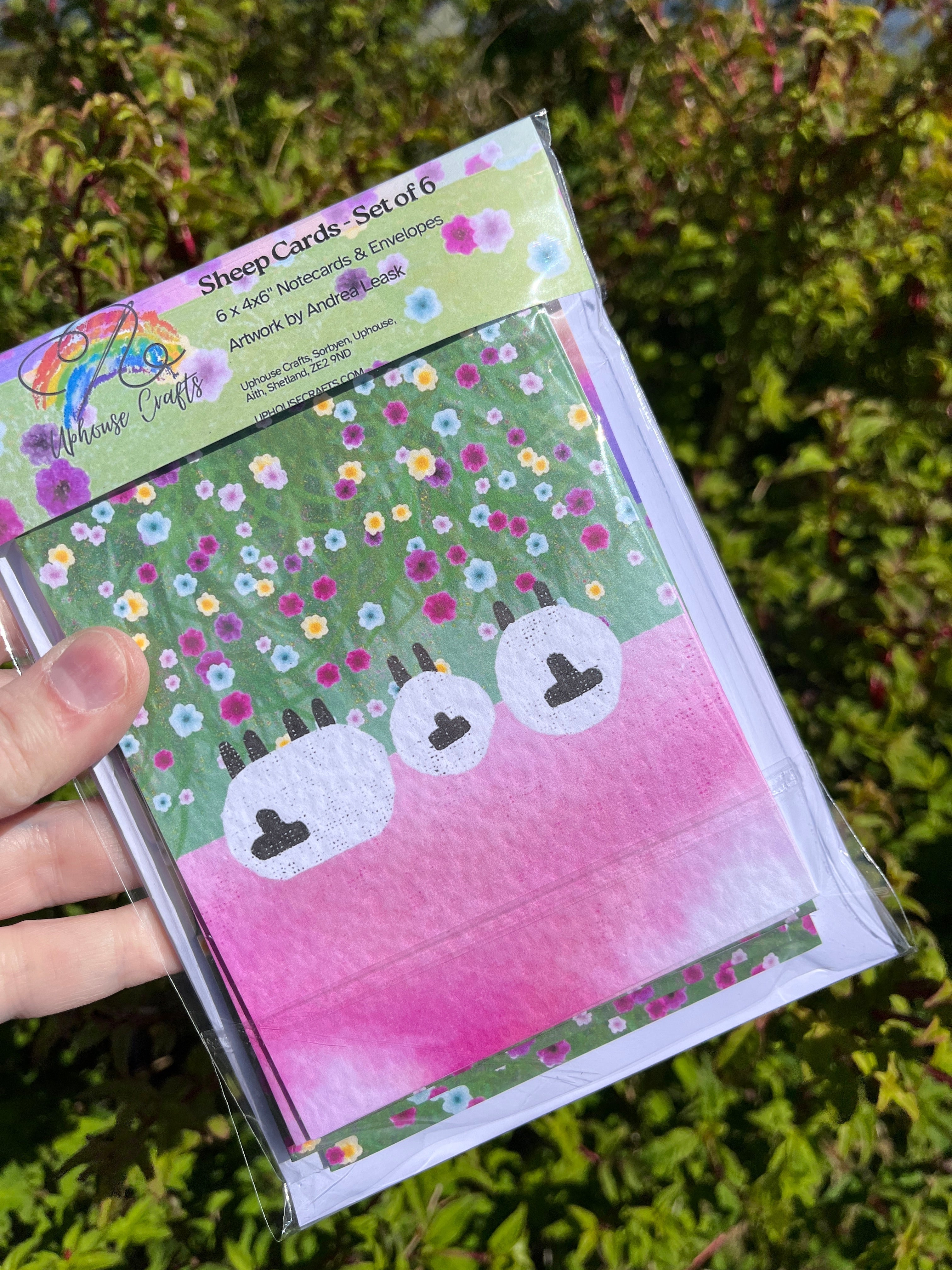 Greetings Card | Shetland - Set of 6 Sheep Notecards | Pink & Sunset - Uphouse Crafts