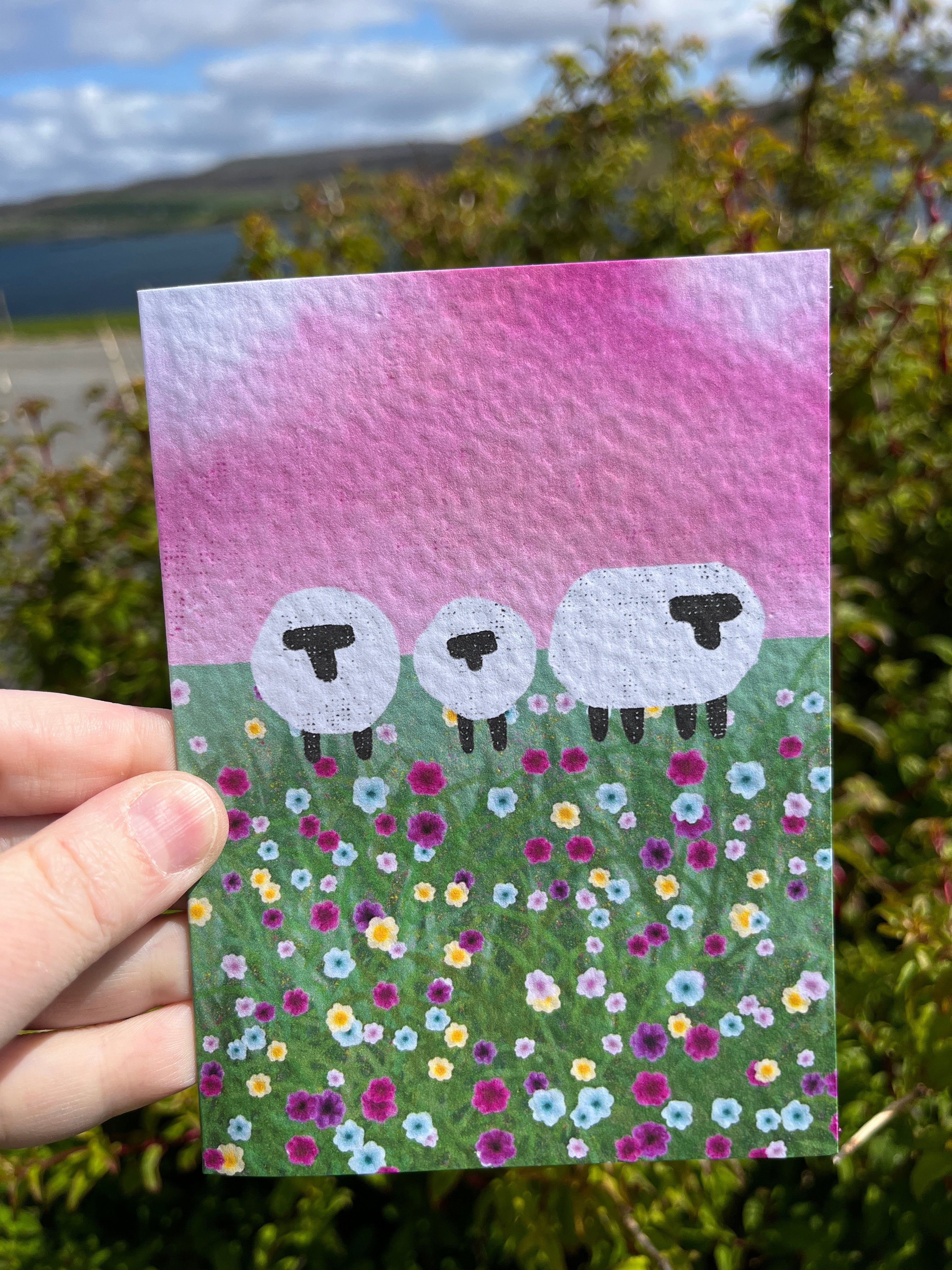 Greetings Card | Shetland - Set of 6 Sheep Notecards | Pink & Sunset - Uphouse Crafts