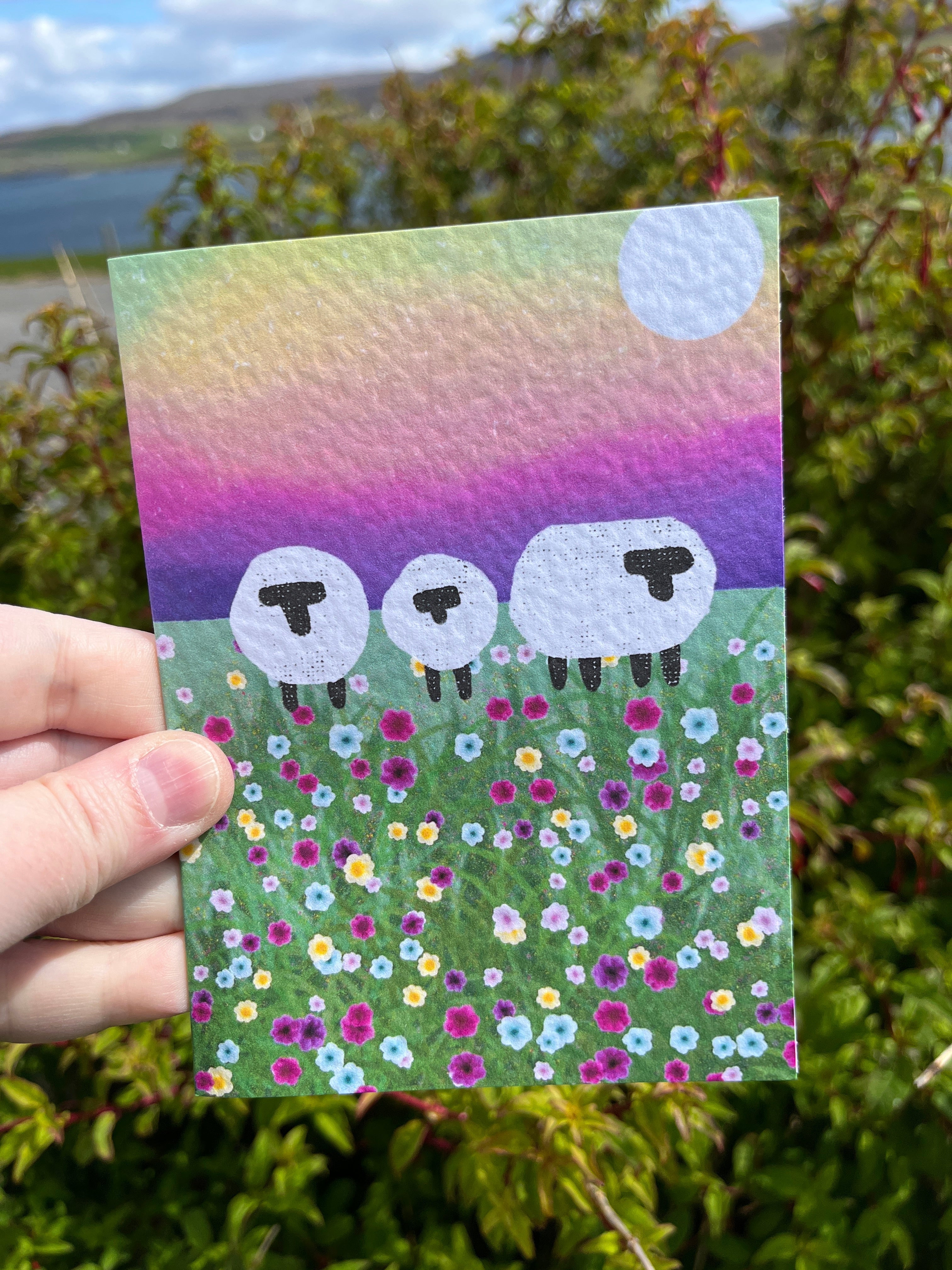 Greetings Card | Shetland - Set of 6 Sheep Notecards | Pink & Sunset - Uphouse Crafts
