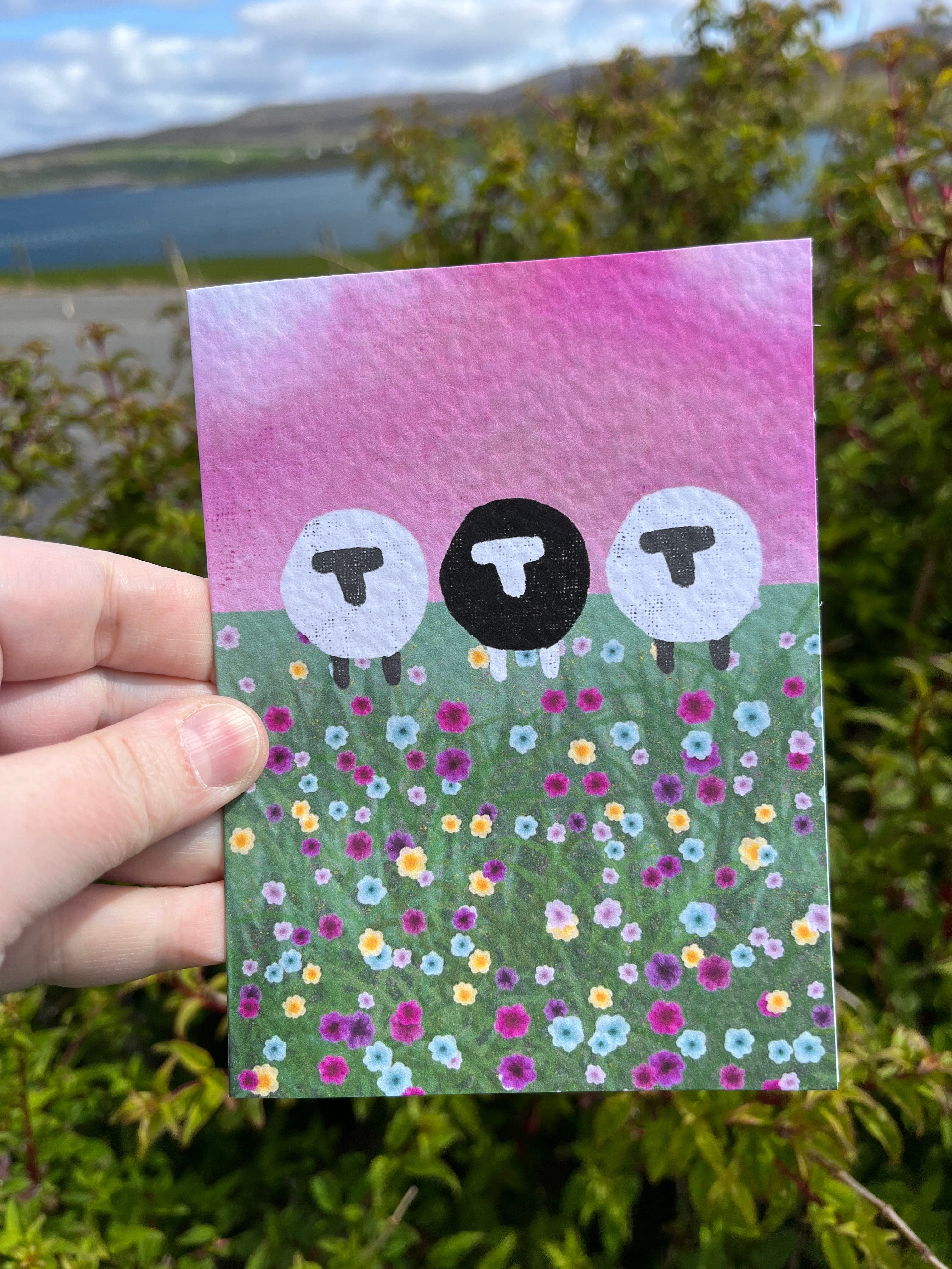 Greetings Card | Shetland - Set of 6 Sheep Notecards | Pink & Sunset - Uphouse Crafts