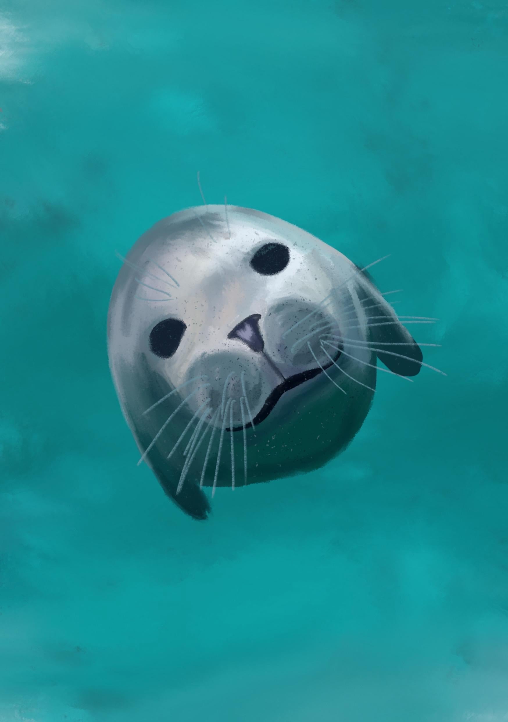 Handmade Cotton Grey Seal Keyring - collaboration with Seabirds - and - Seals The Original Noss Boat Tours - Uphouse Crafts